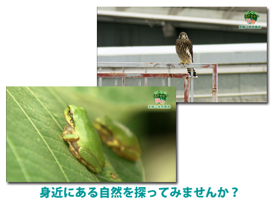 制_201408nature28