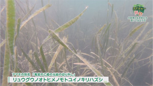 制_Still0725_00015_ed