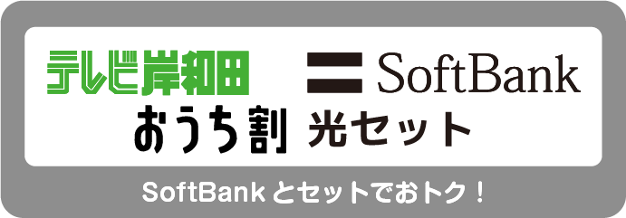 おうち割 光セット