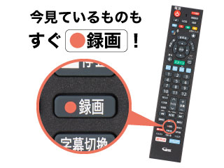 外付HDDに長時間録画！》4KケーブルプラスSTB-2 | テレビ岸和田 