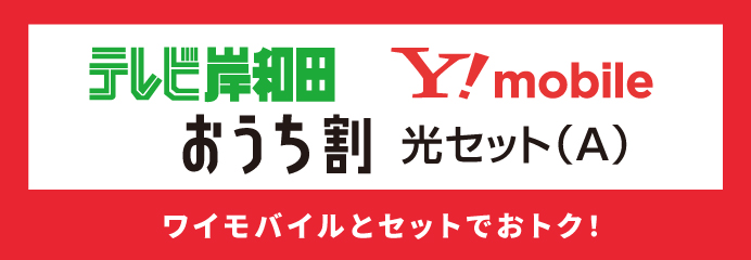おうち割 光セット（A）