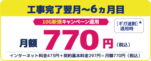 光10ギガ　6ヵ月770円